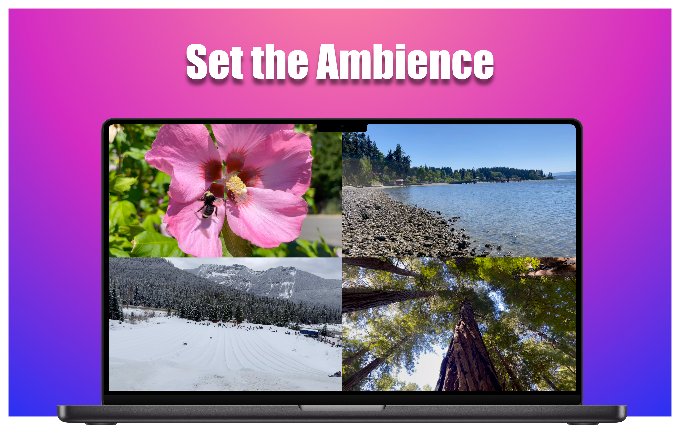 VidGrid for macOS - Screenshot 4
